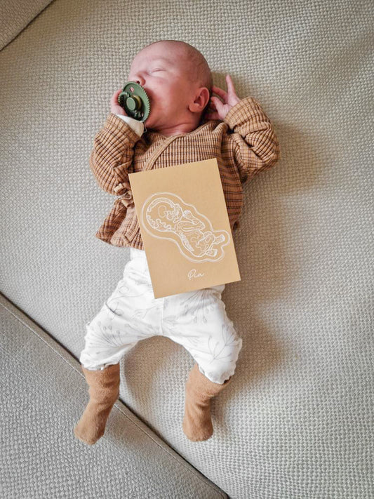 License digital file Birth Line