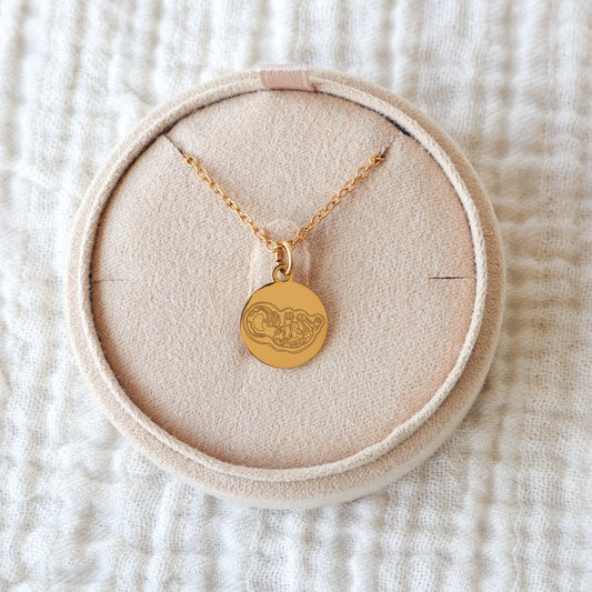 Birth Lines Necklace Coin - Stainless Steel