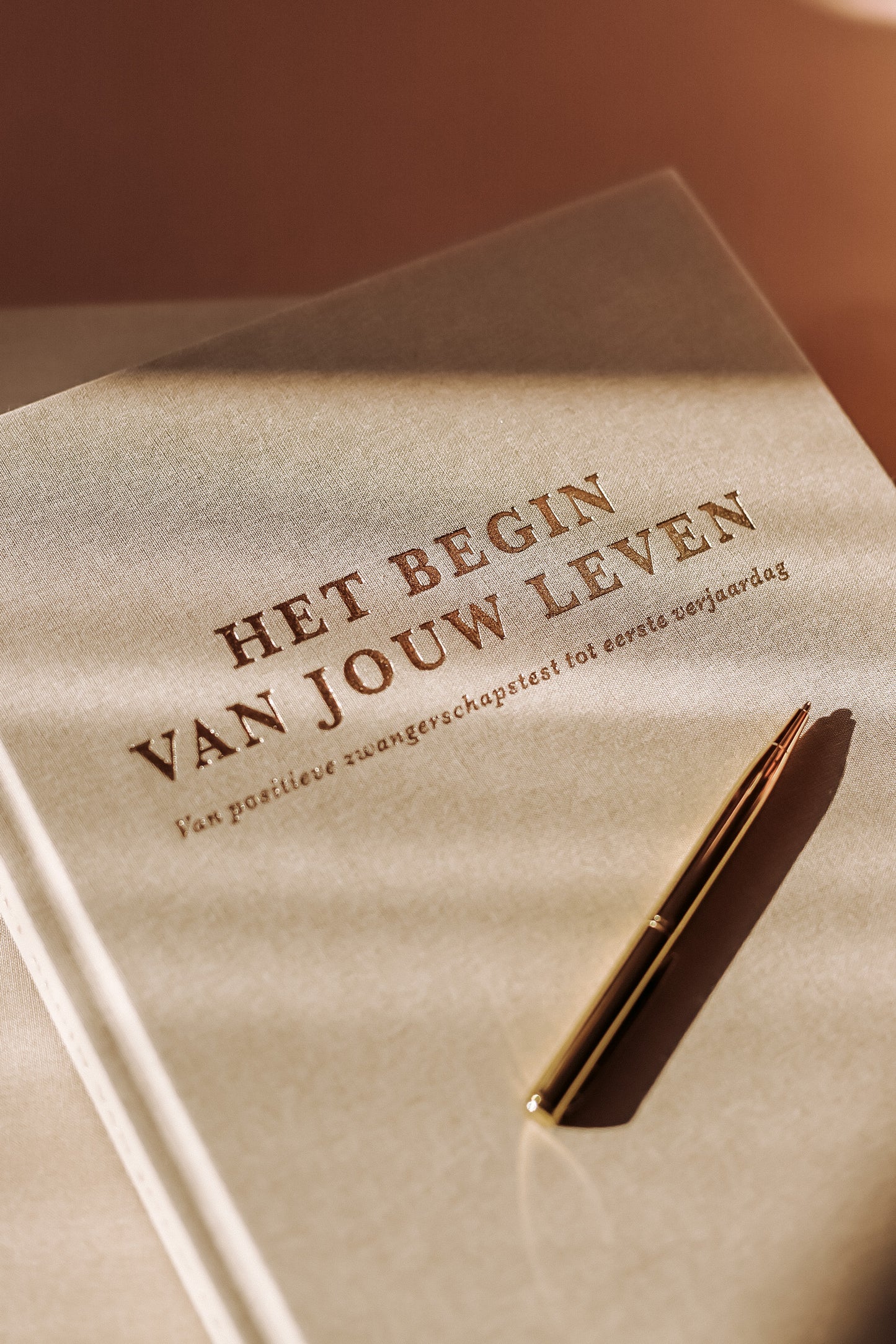 'Het begin van jouw leven' zwangerschaps- & baby invulboek