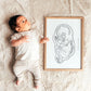 Birth Line echo-illustratie, eenling